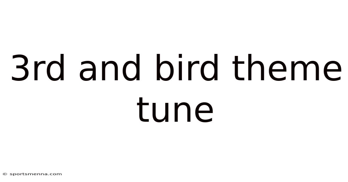 3rd And Bird Theme Tune
