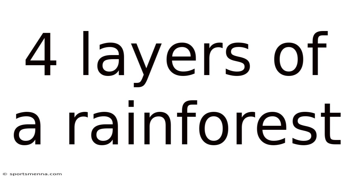 4 Layers Of A Rainforest