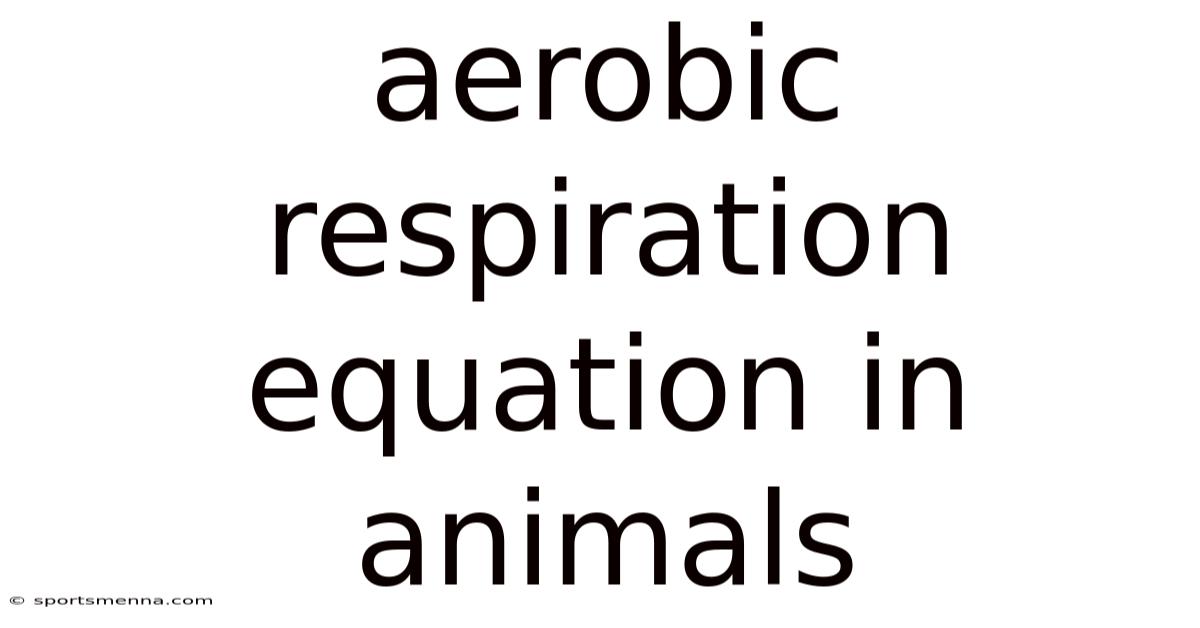Aerobic Respiration Equation In Animals