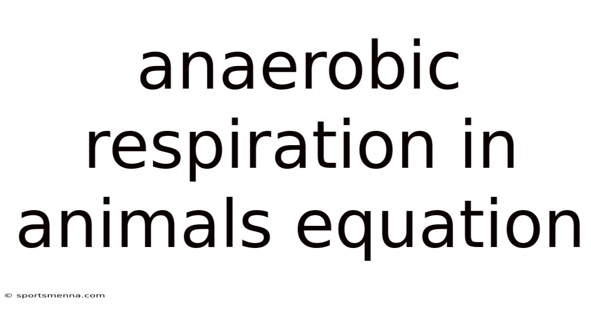 Anaerobic Respiration In Animals Equation
