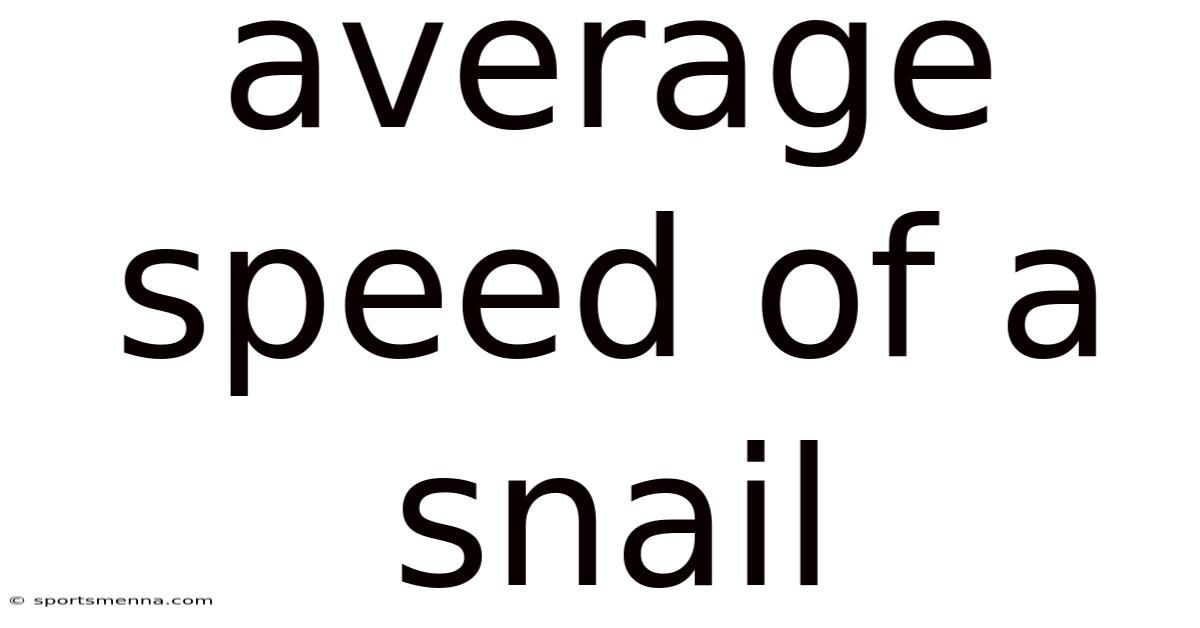 Average Speed Of A Snail