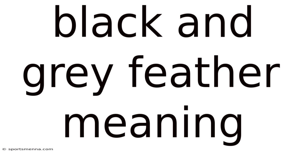 Black And Grey Feather Meaning