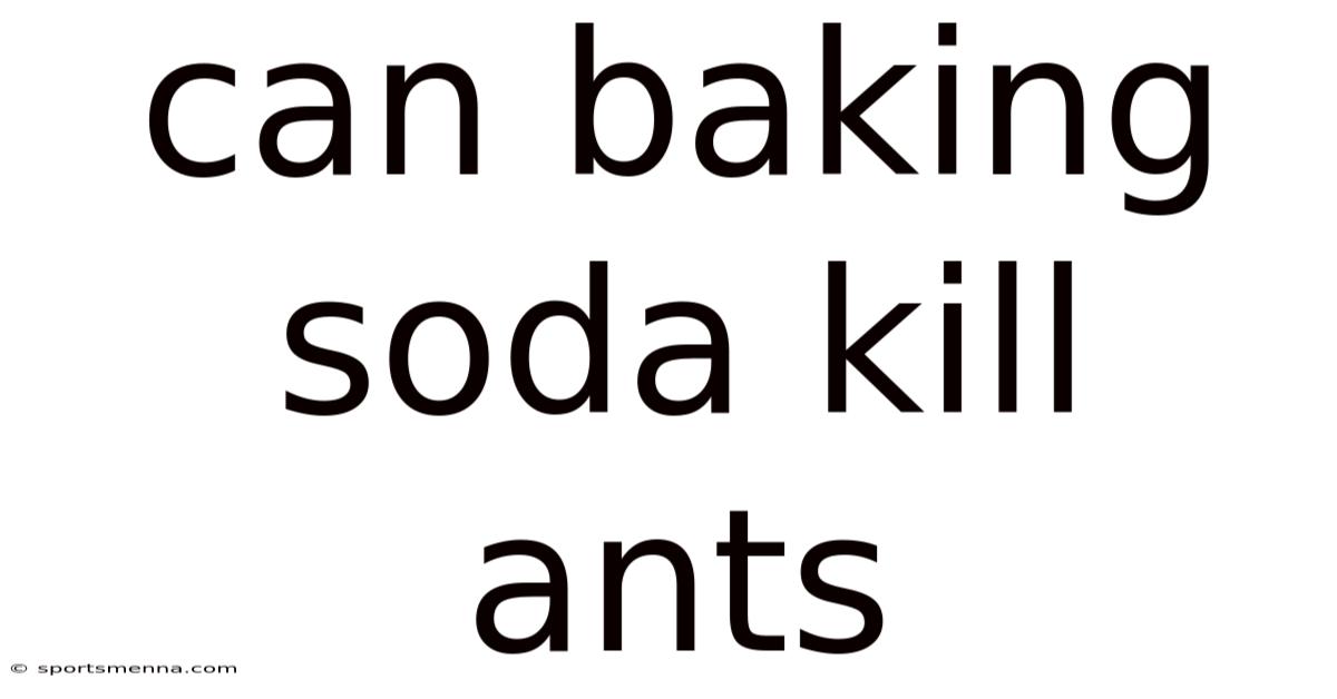 Can Baking Soda Kill Ants