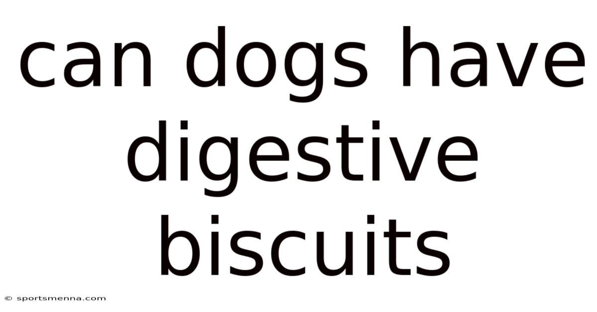 Can Dogs Have Digestive Biscuits