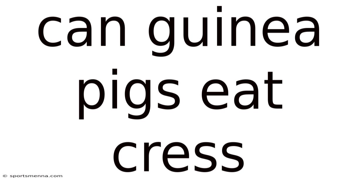 Can Guinea Pigs Eat Cress