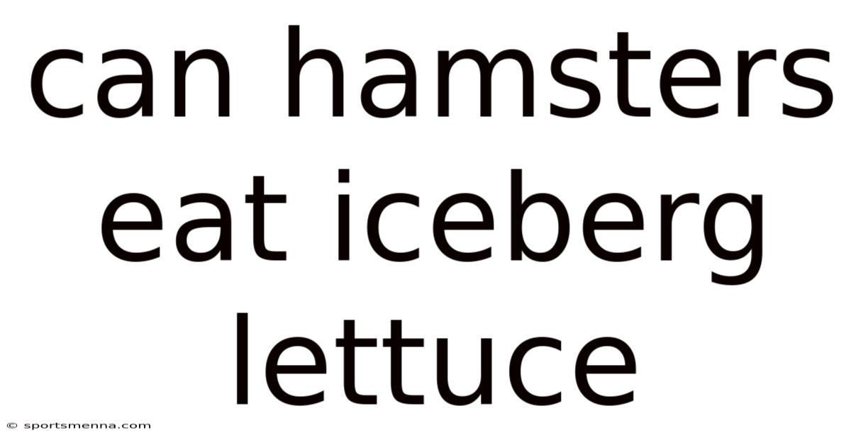 Can Hamsters Eat Iceberg Lettuce