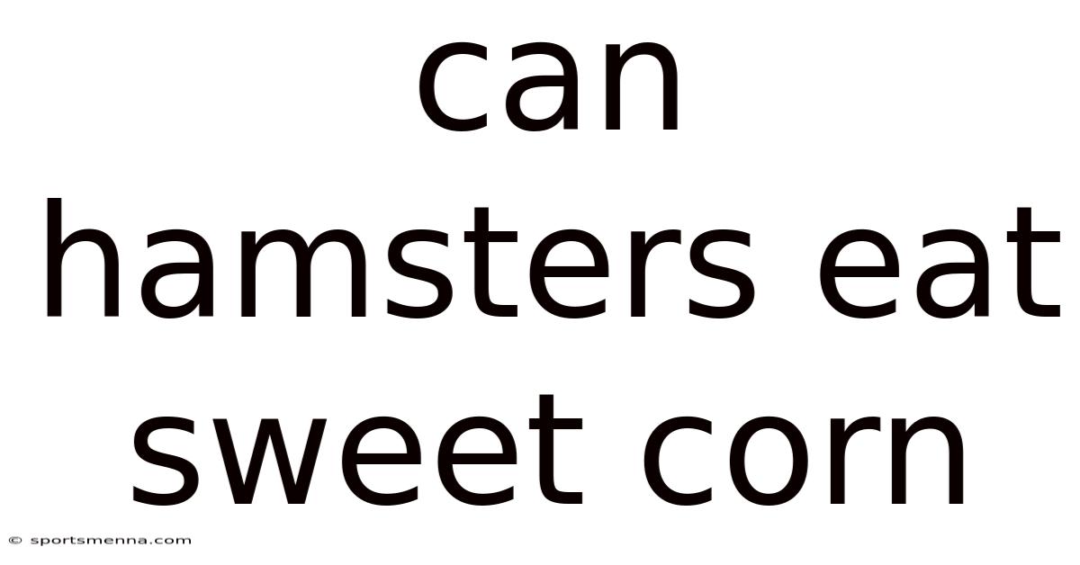 Can Hamsters Eat Sweet Corn