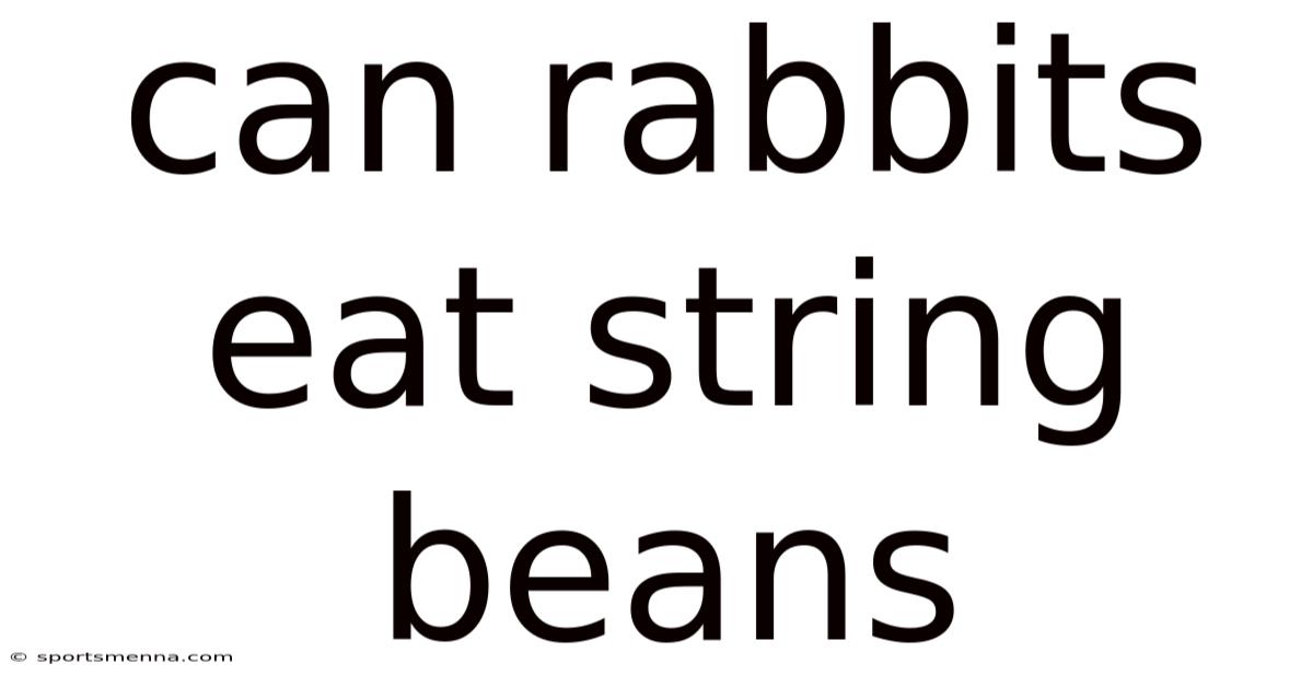 Can Rabbits Eat String Beans