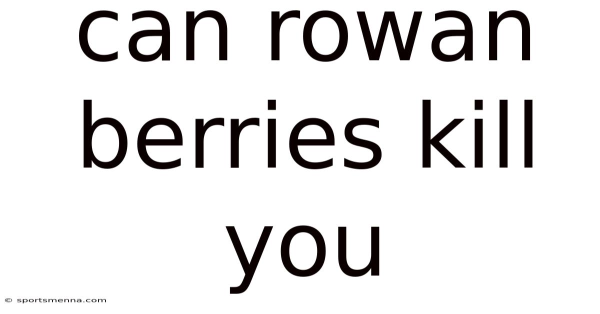 Can Rowan Berries Kill You