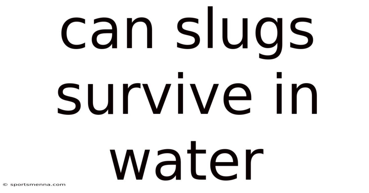 Can Slugs Survive In Water