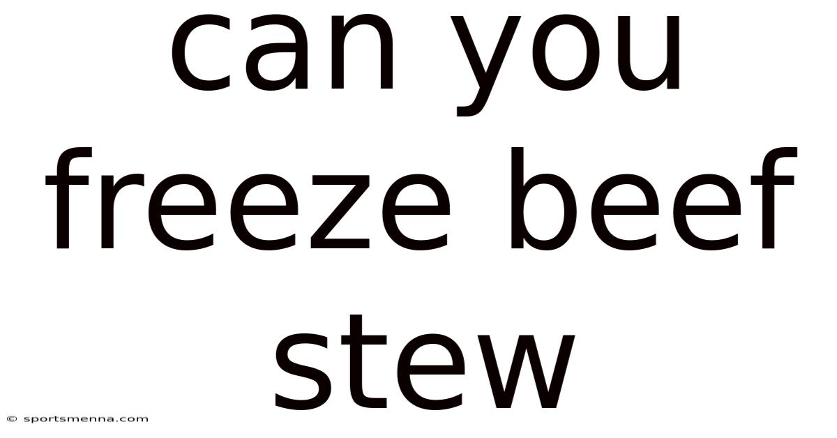 Can You Freeze Beef Stew