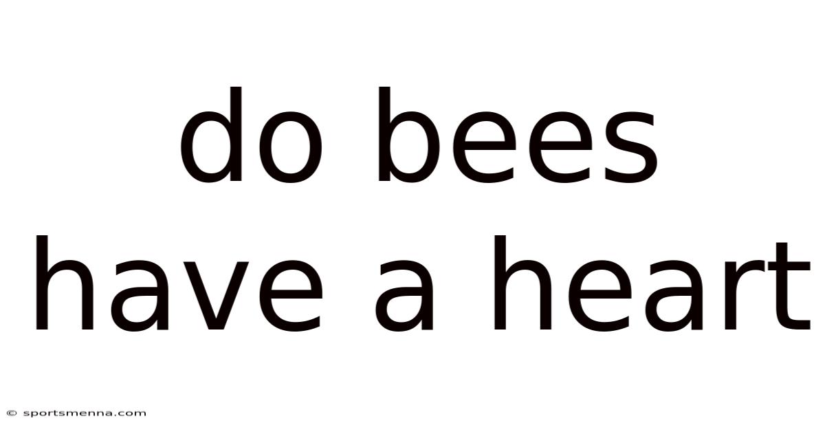 Do Bees Have A Heart