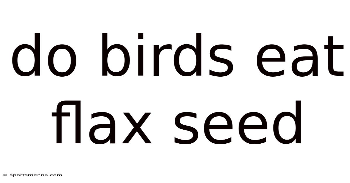 Do Birds Eat Flax Seed