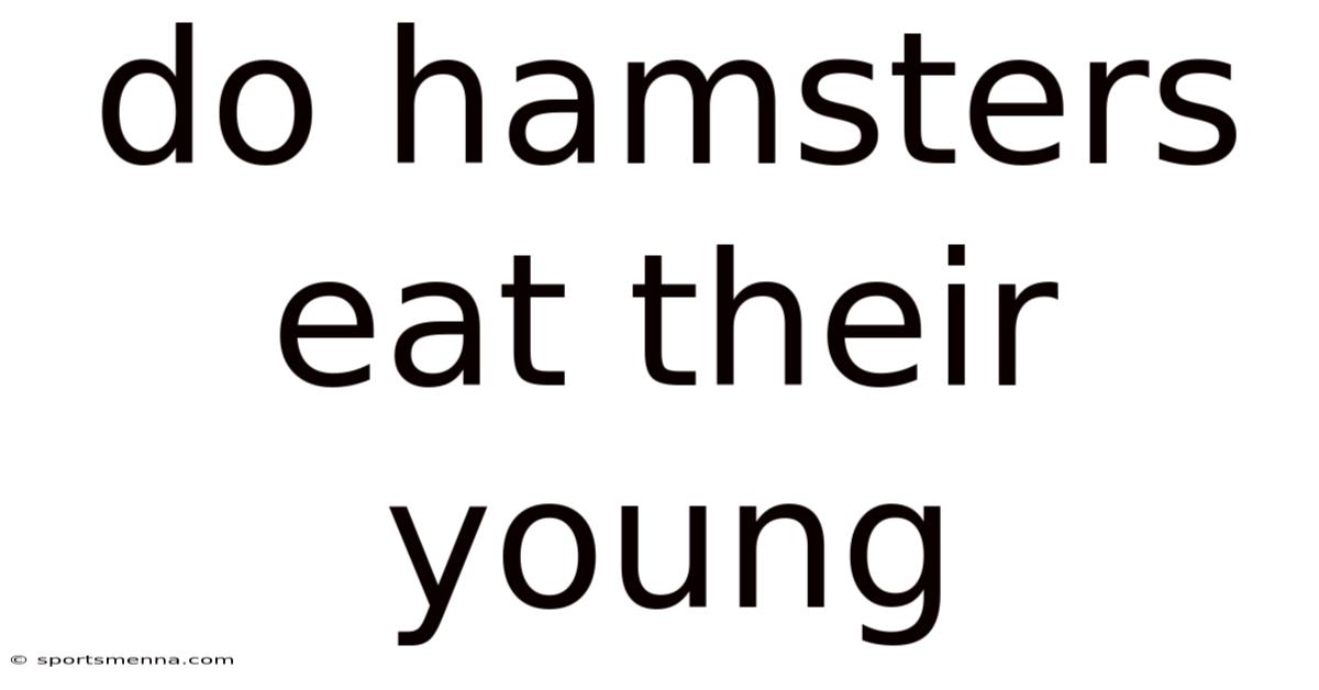 Do Hamsters Eat Their Young