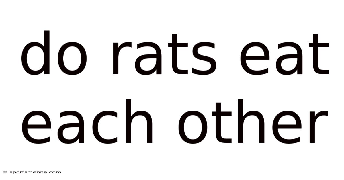 Do Rats Eat Each Other
