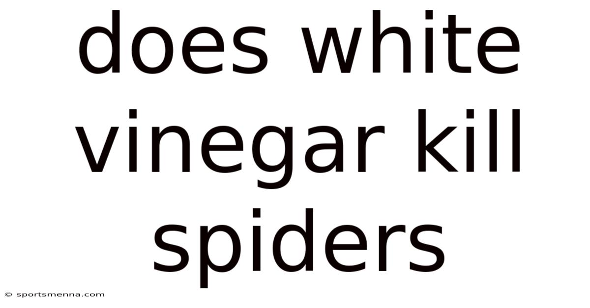 Does White Vinegar Kill Spiders