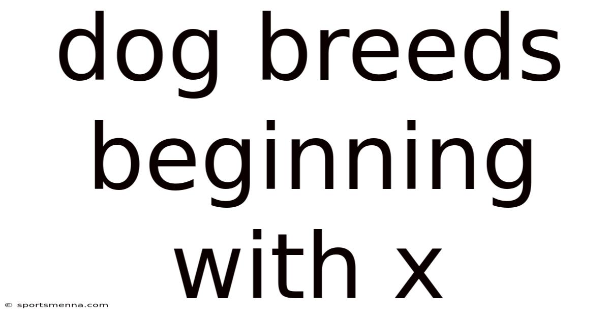 Dog Breeds Beginning With X