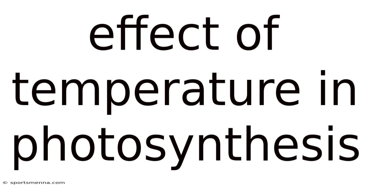 Effect Of Temperature In Photosynthesis