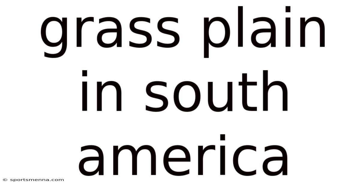 Grass Plain In South America