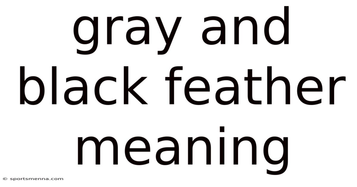 Gray And Black Feather Meaning