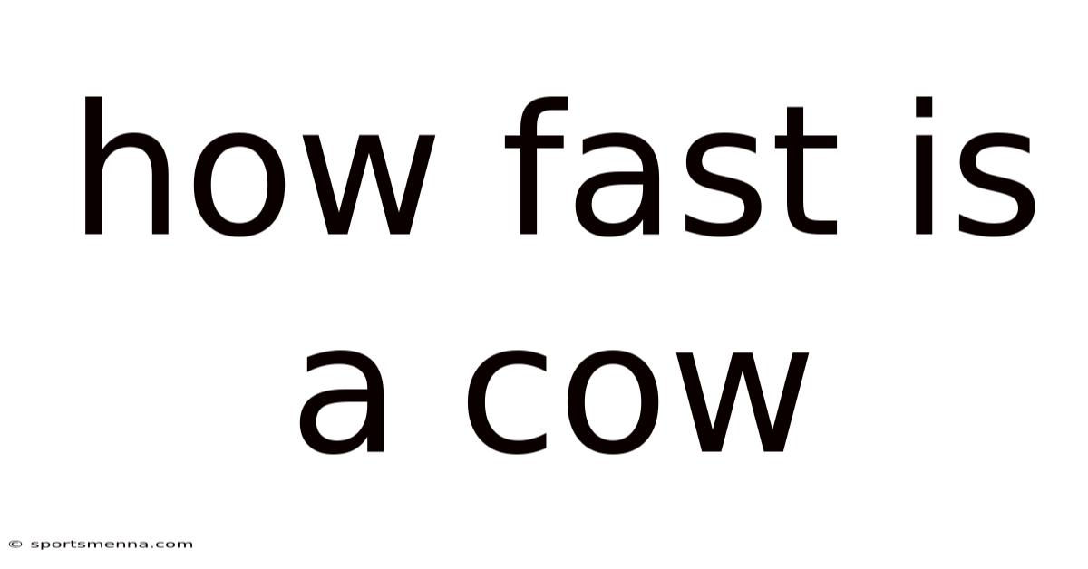 How Fast Is A Cow