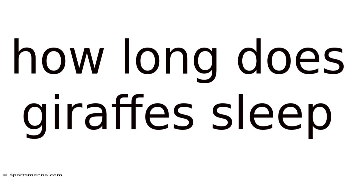 How Long Does Giraffes Sleep