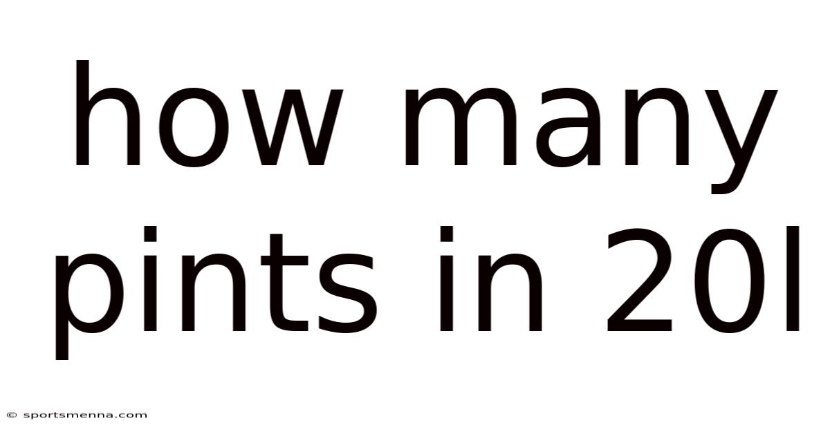 How Many Pints In 20l