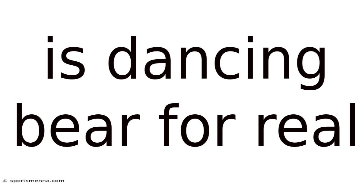 Is Dancing Bear For Real
