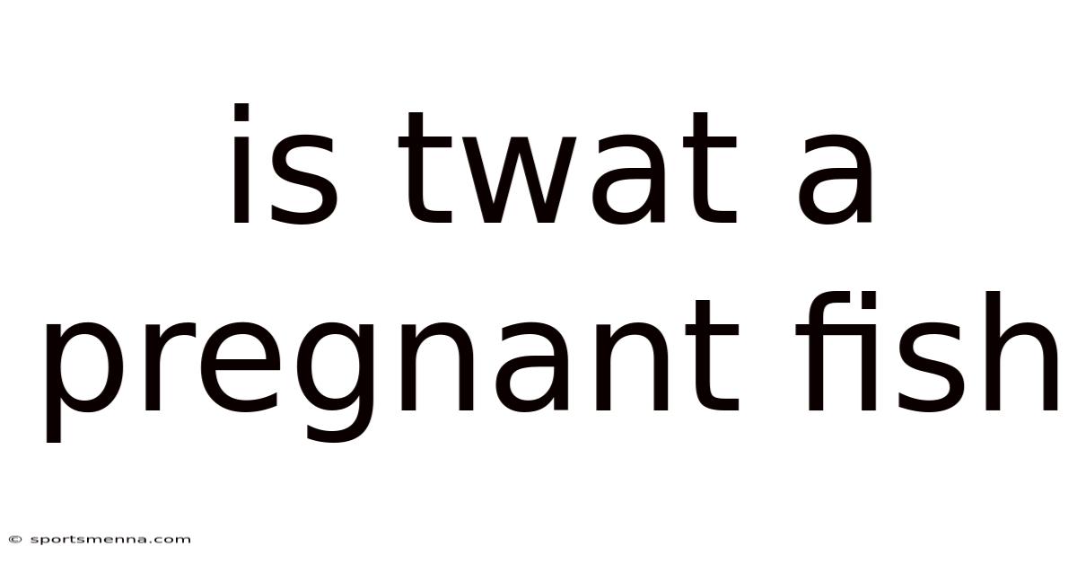 Is Twat A Pregnant Fish