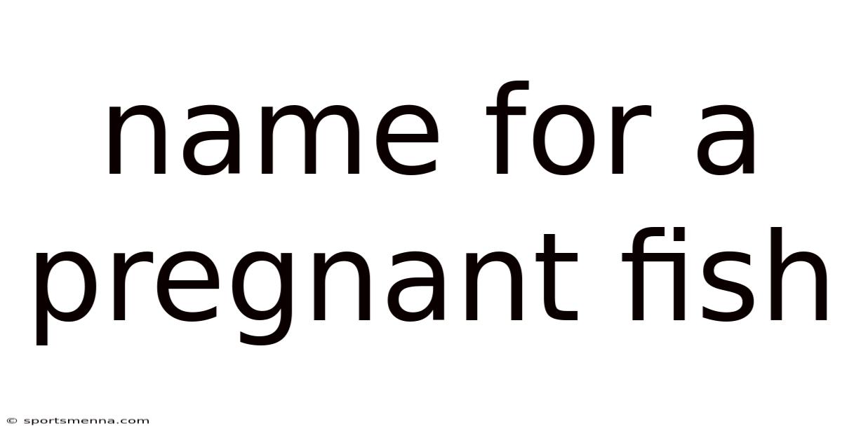 Name For A Pregnant Fish