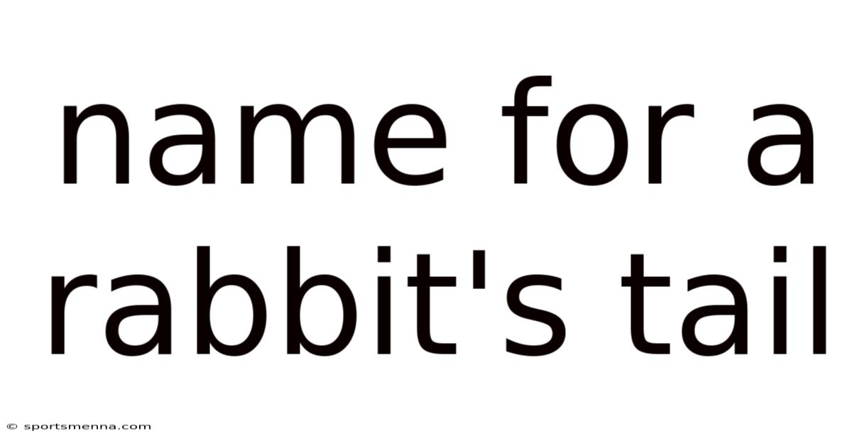 Name For A Rabbit's Tail