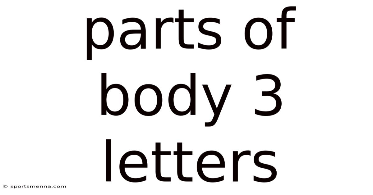 Parts Of Body 3 Letters