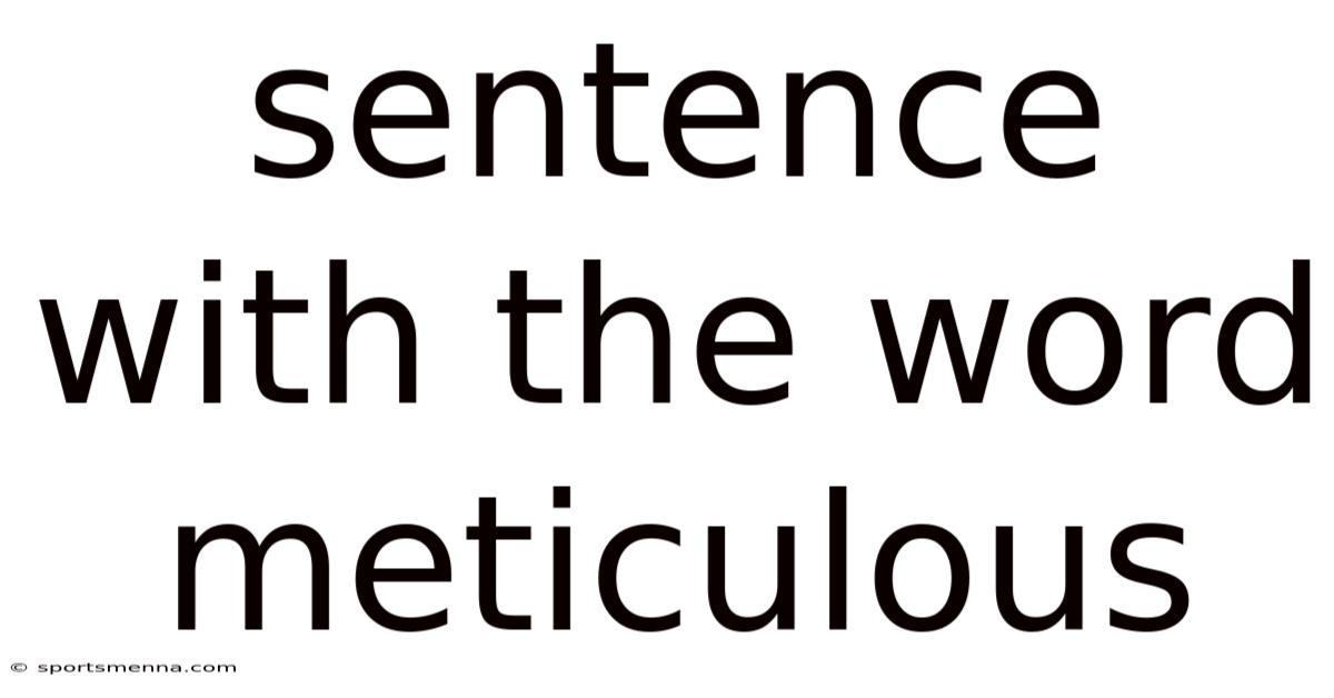 Sentence With The Word Meticulous
