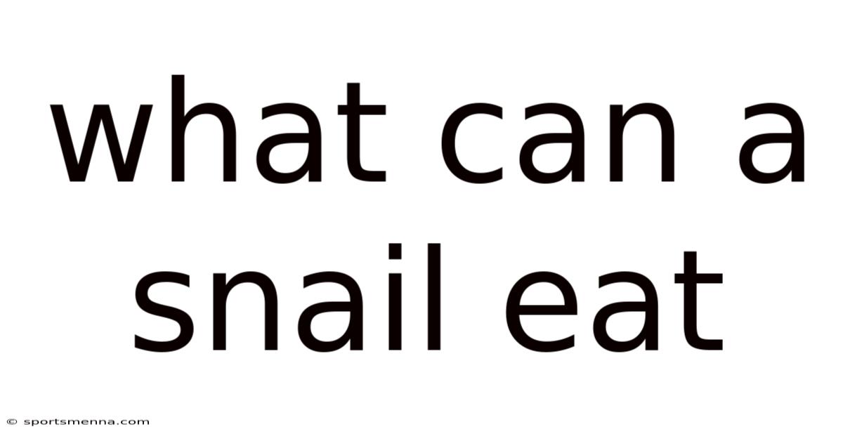 What Can A Snail Eat