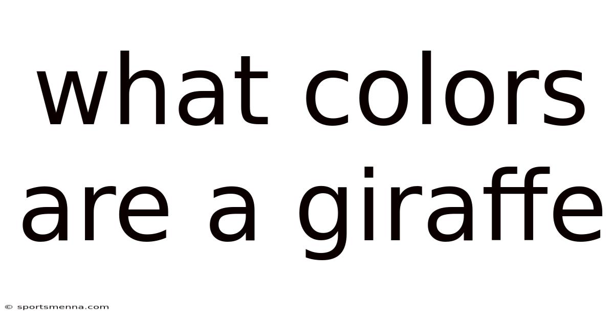 What Colors Are A Giraffe