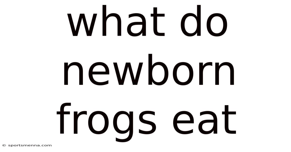 What Do Newborn Frogs Eat