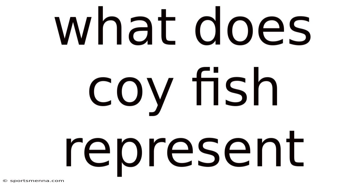 What Does Coy Fish Represent