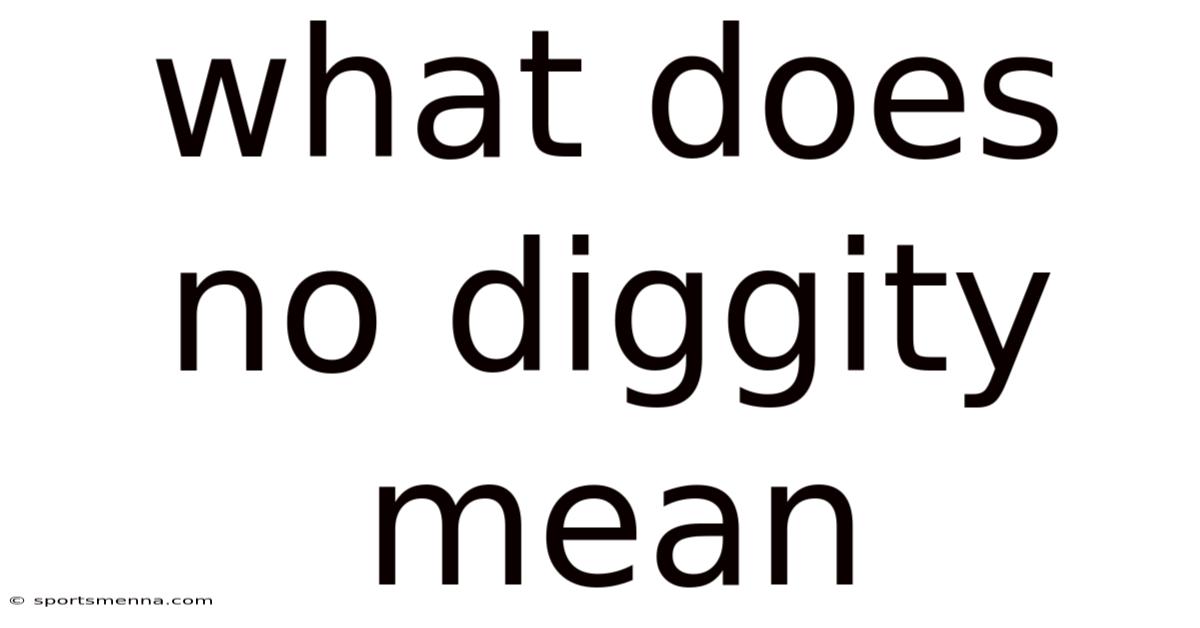 What Does No Diggity Mean