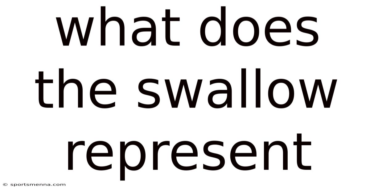 What Does The Swallow Represent