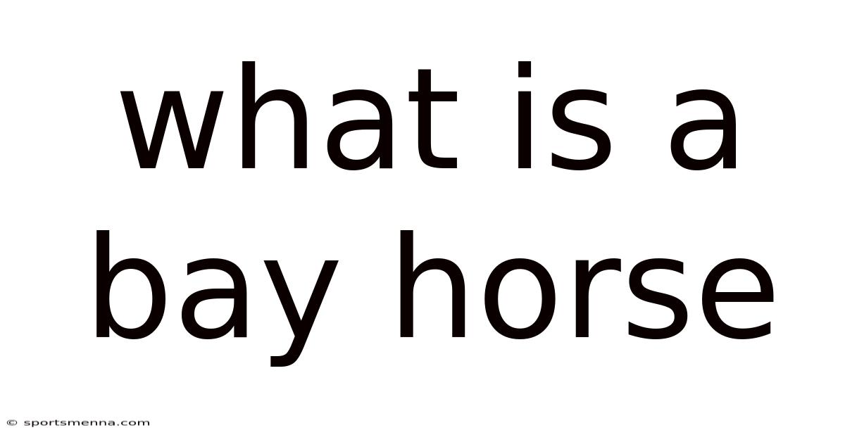 What Is A Bay Horse