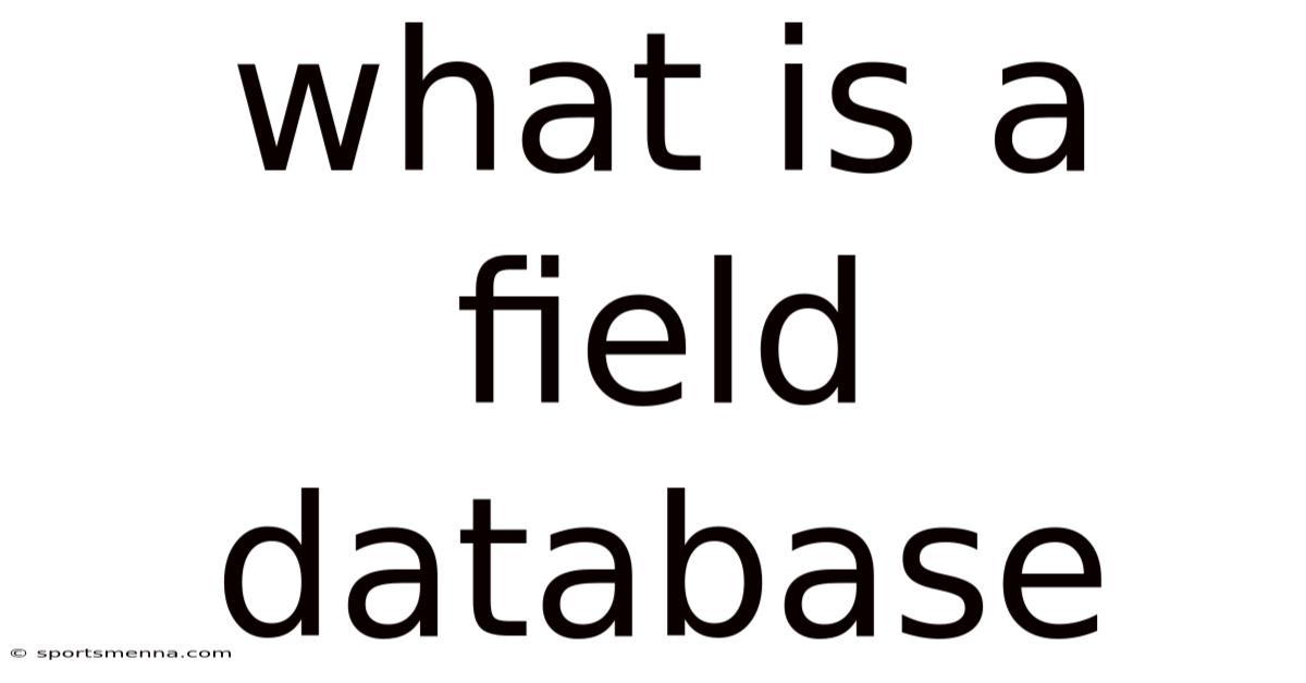 What Is A Field Database