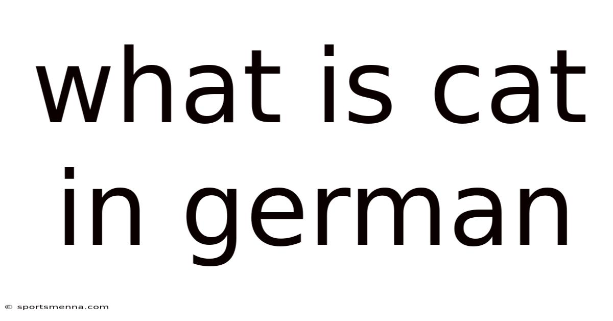 What Is Cat In German