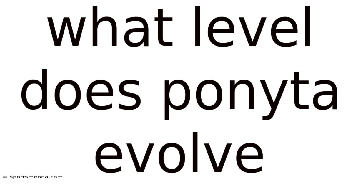 What Level Does Ponyta Evolve