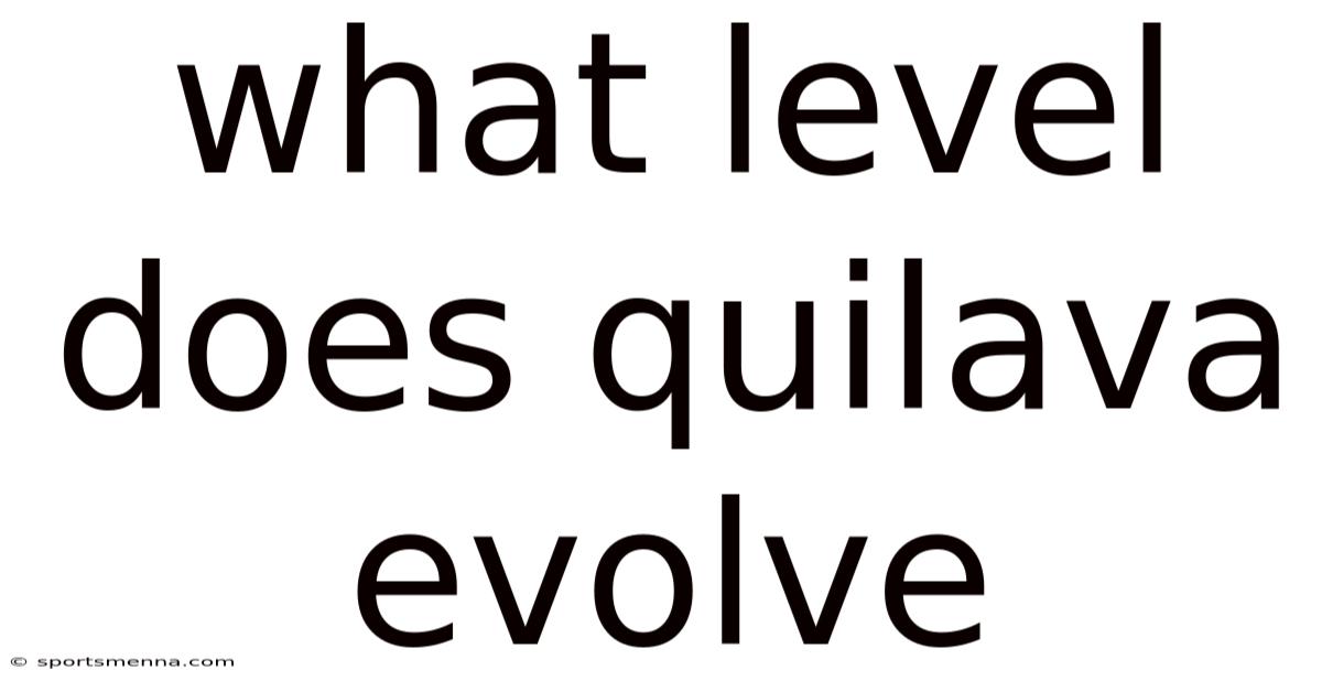 What Level Does Quilava Evolve
