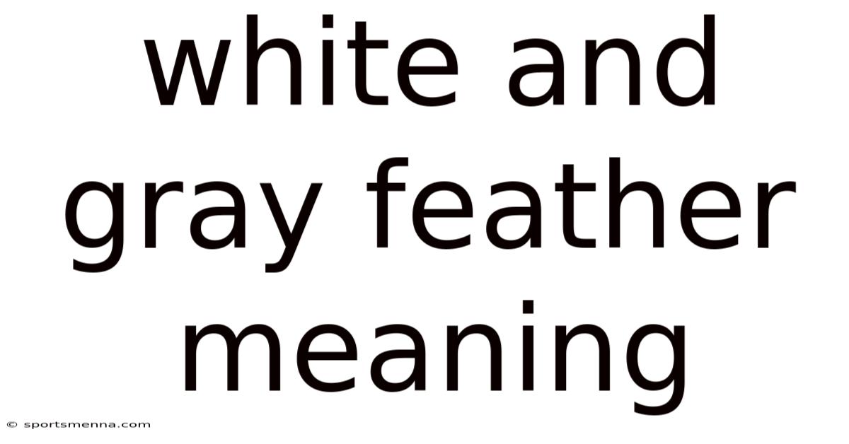 White And Gray Feather Meaning