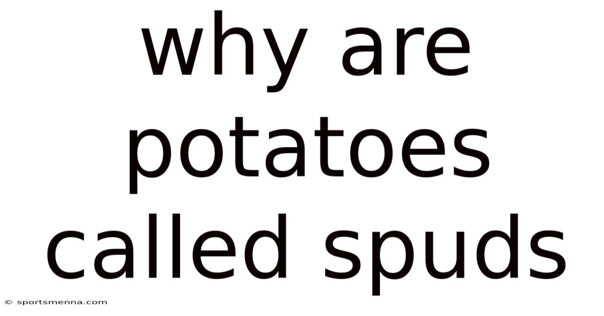 Why Are Potatoes Called Spuds