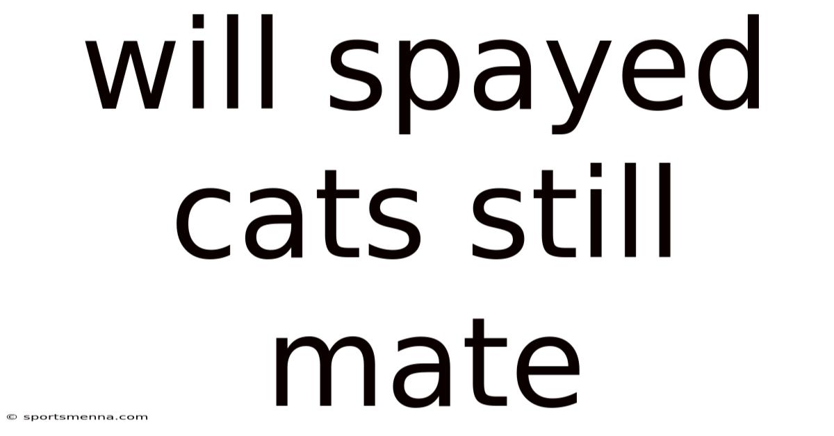 Will Spayed Cats Still Mate