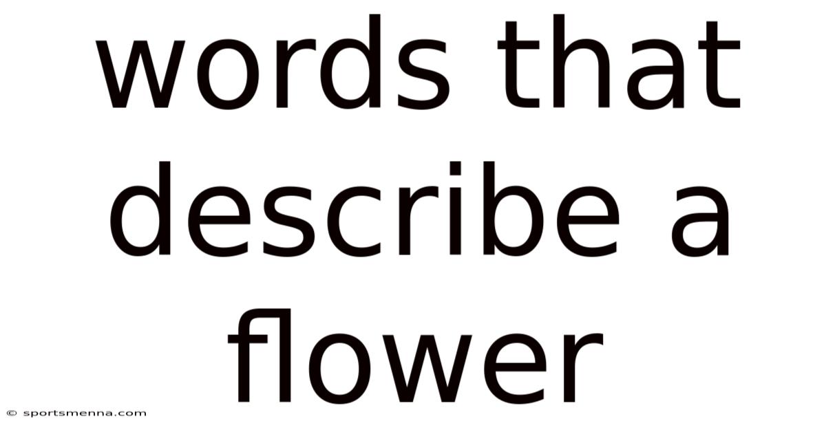 Words That Describe A Flower